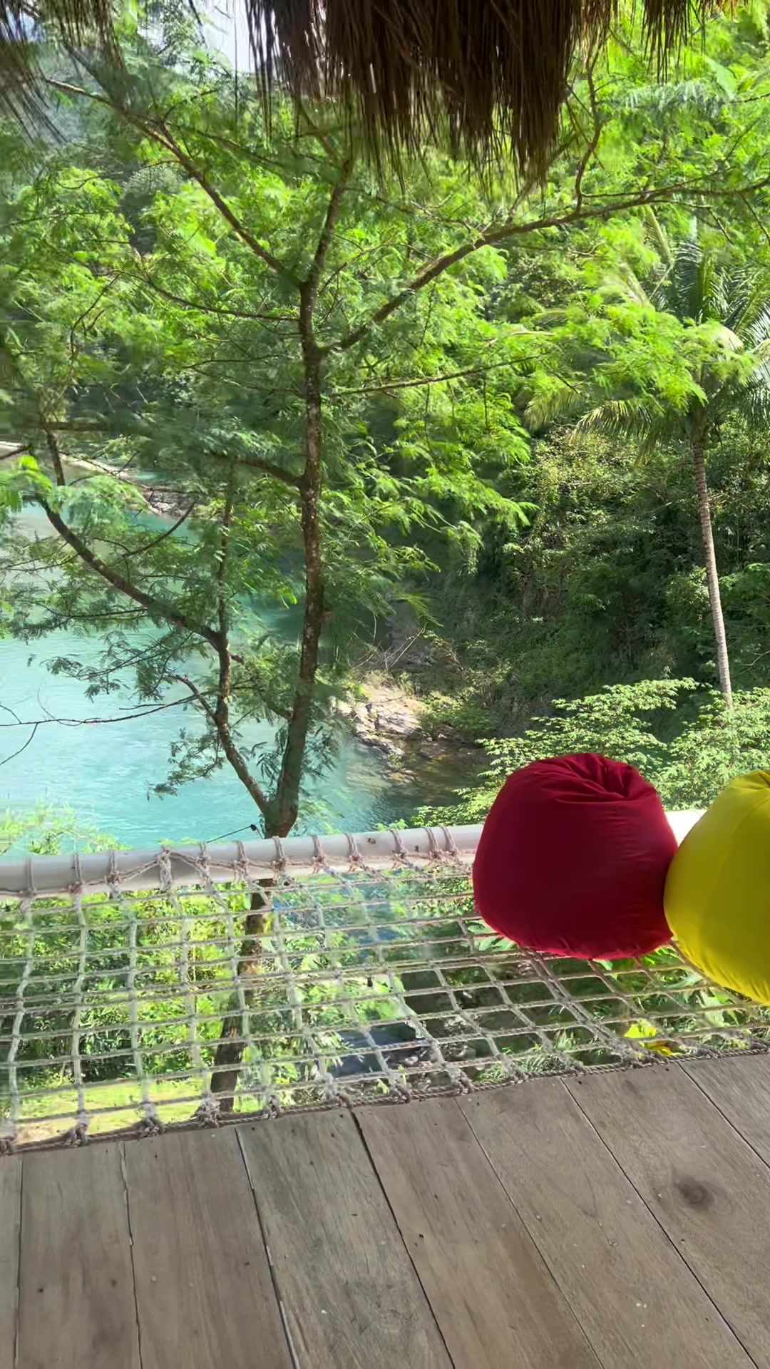 Muni Land just opened its doors